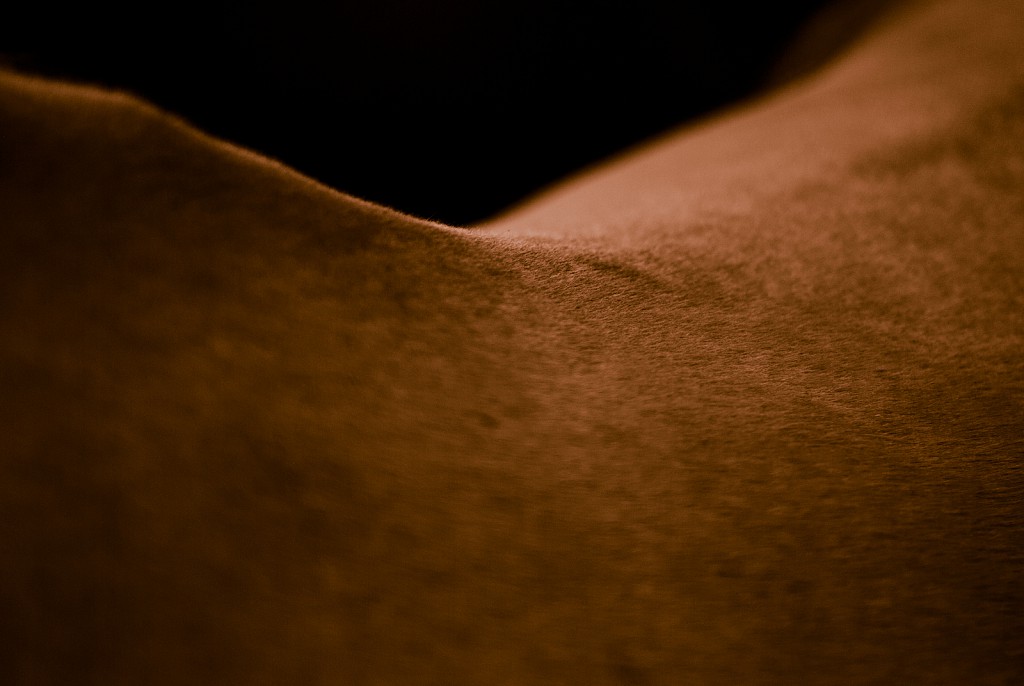 Abstract of Horse Back