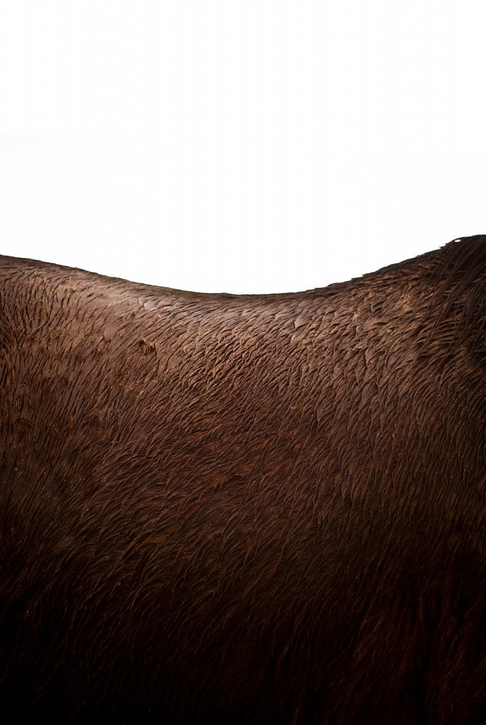 Wooden Phone Abstact