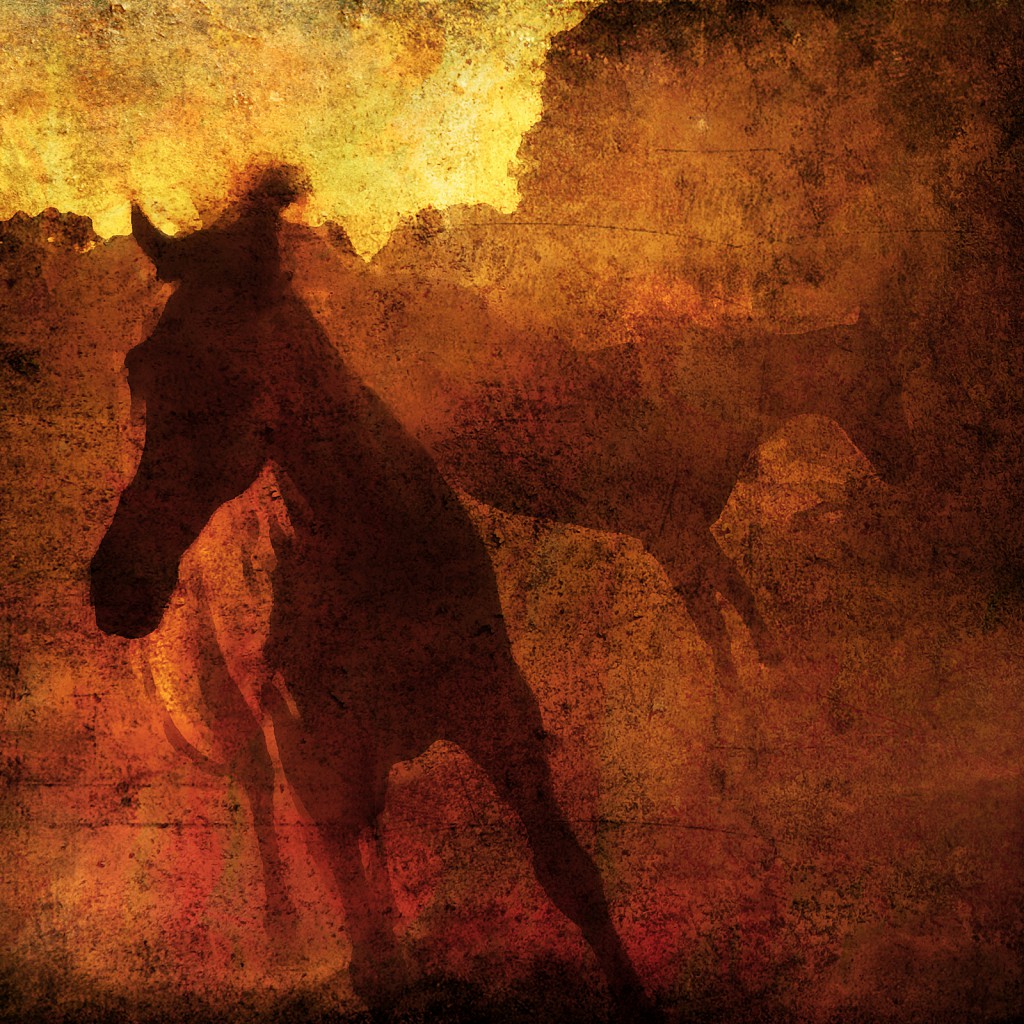 Bucking Horses Composite