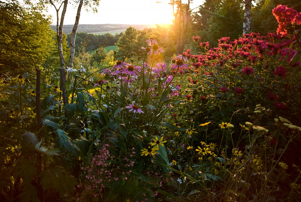 Vermont Flower Garden